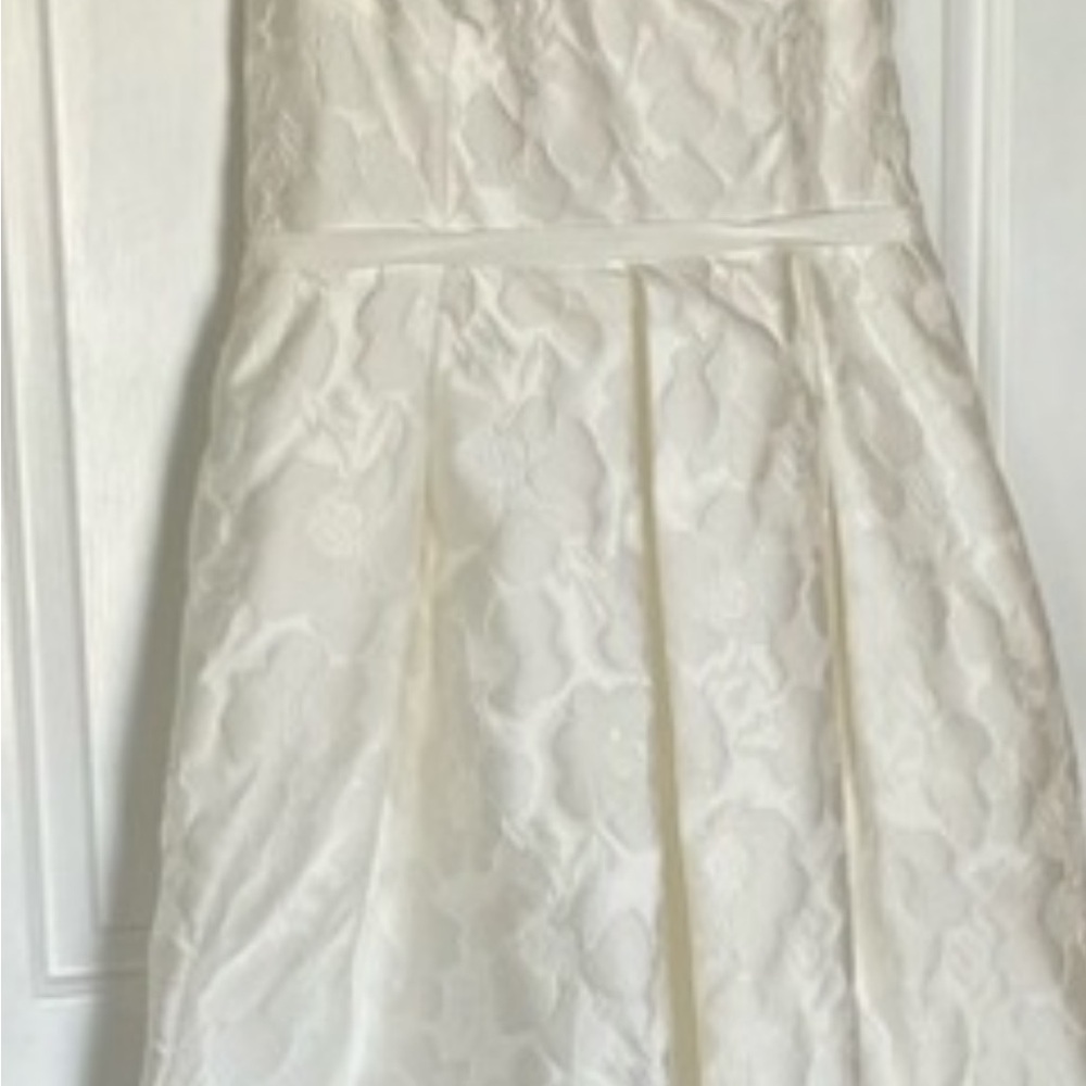 David's Bridal Ivory V-Neck Wedding Gown - Picture 5 of 11